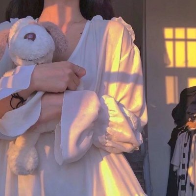 报告王爷，王妃是只猫